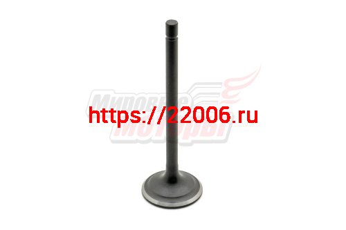 Клапан выпускной 167FMM (250cc) LIFAN оригинал (малый)(длина 89 мм, D юбки 28,5 мм, d стержня 5,5 мм) Клапан выпускной 167FMM (250cc) LIFAN оригинал (малый)(длина 89 мм, D юбки 28,5 мм, d стержня 5,5 мм)