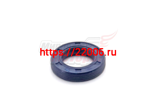 Сальник 15х25х5 коленвала на Штиль 017-025 (9638 003 1581) Сальник 15х25х5 коленвала на Штиль 017-025 (9638 003 1581)