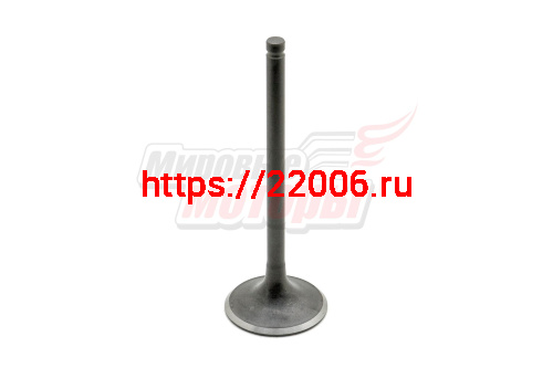 Клапан впускной 163FML-2 (200cc) LIFAN оригинал (большой)(длина 91 мм, D юбки 31 мм, d стержня 5,5 мм) Клапан впускной 163FML-2 (200cc) LIFAN оригинал (большой)(длина 91 мм, D юбки 31 мм, d стержня 5,5 мм)