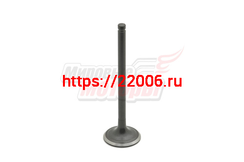 Клапан выпускной 163FML-2 (200cc) LIFAN оригинал (малый)(длина 90 мм, D юбки 27 мм, d стержня 5,5 мм) Клапан выпускной 163FML-2 (200cc) LIFAN оригинал (малый)(длина 90 мм, D юбки 27 мм, d стержня 5,5 мм)