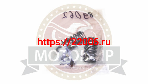 Ремкомплект головки 1Р39 Альфа Задиак50 (сухари, пружины, тарелки) 70/90/110 фото 2