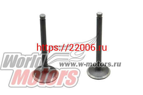 Клапаны (впуск/выпуск) 152QMI (GY6-125) (d=21.5/24 L-64.5/65) Клапаны (впуск/выпуск) 152QMI (GY6-125) (d=21.5/24 L-64.5/65)