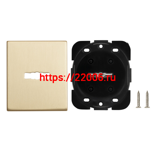 Накладка Armadillo (Армадилло) на сувальдный замок ESC.S-auto.USS/K (PS Protector/USS) FSG флорентийское золото фото 2